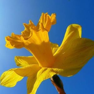 Meet your Posher, Colleen